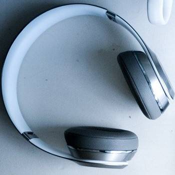 adres dla sp&oacute;łki zoo w Żywcu